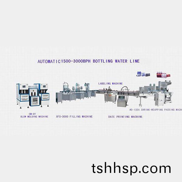 1500-3000BPH mini bottling water line