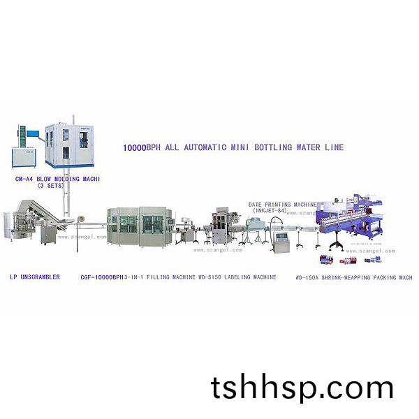 10000BPH mini bottling water line technique
